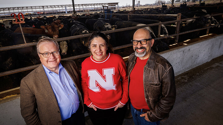 Nebraska Engineering researchers Bruce Dvorak, Mona Bavarian, and Siamak Nejati standing in front of cattle pens.